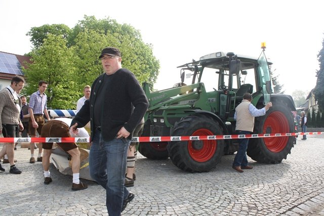 Maibaum 2013